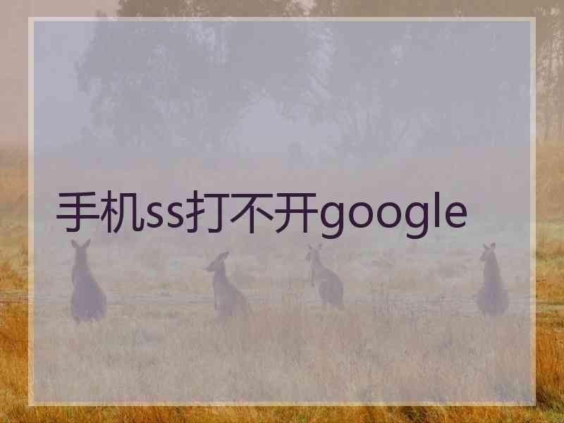 手机ss打不开google