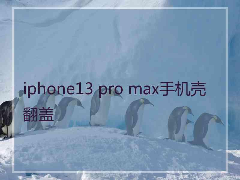 iphone13 pro max手机壳翻盖