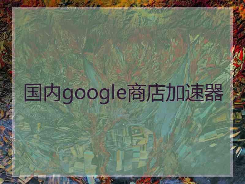 国内google商店加速器