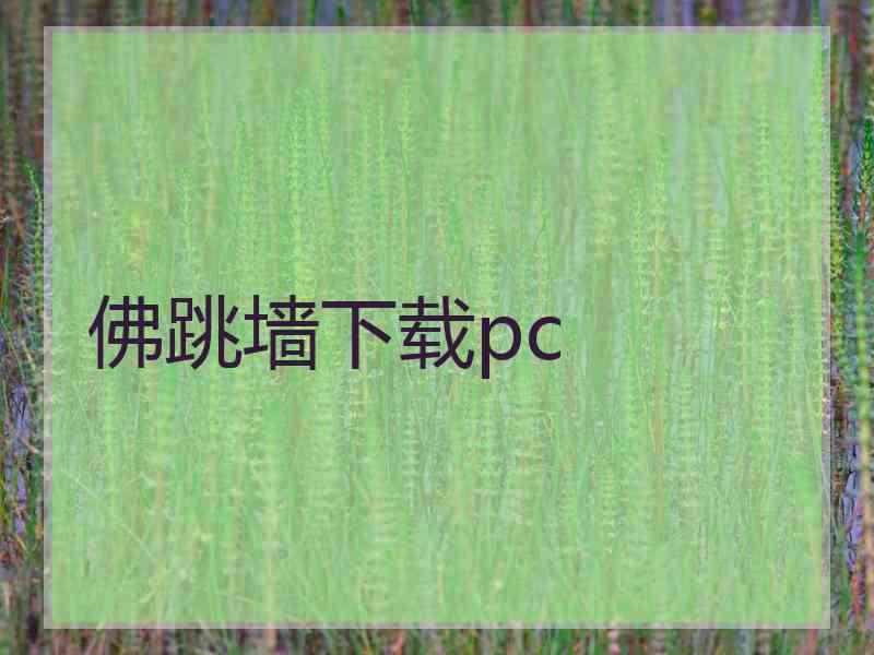 佛跳墙下载pc