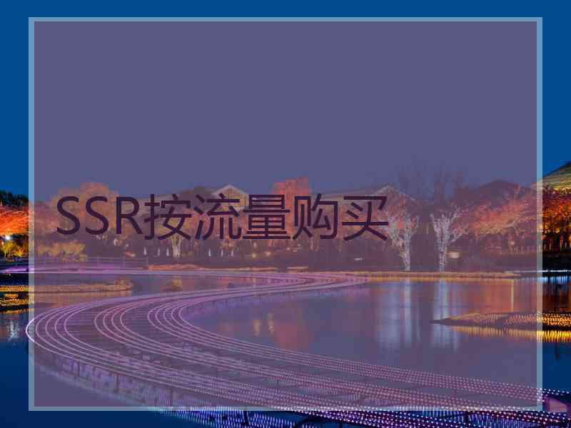 SSR按流量购买