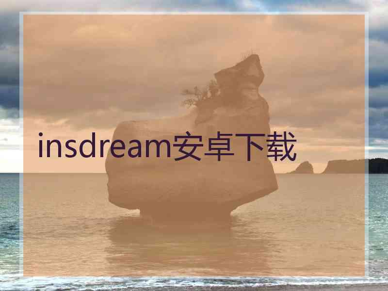 insdream安卓下载