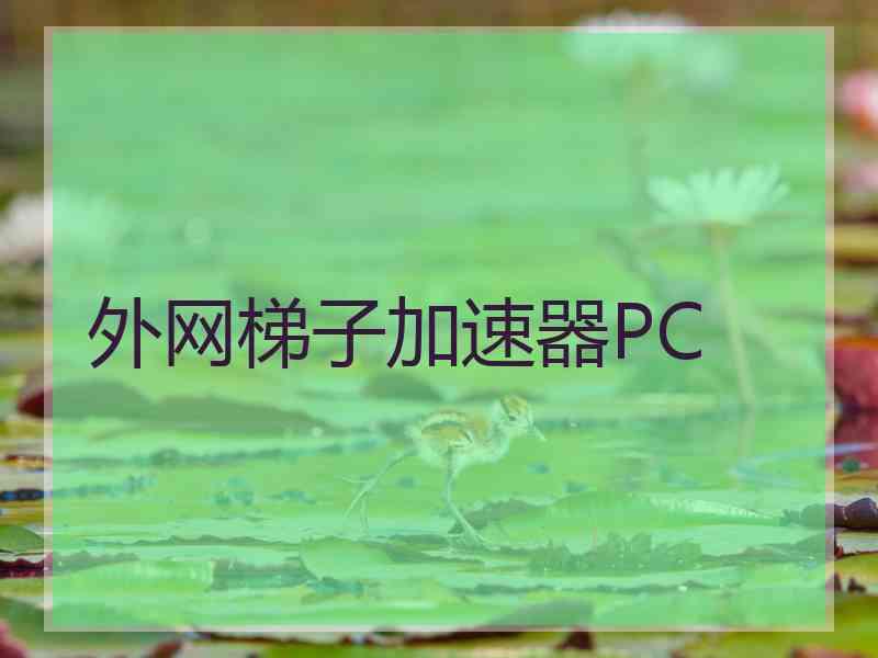 外网梯子加速器PC