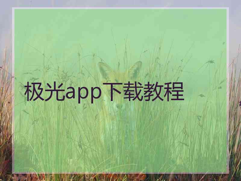 极光app下载教程