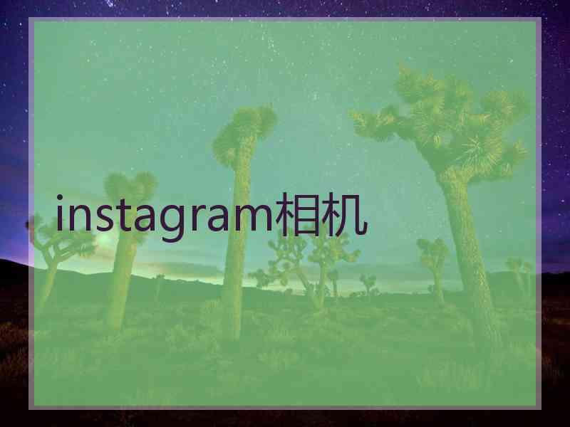 instagram相机