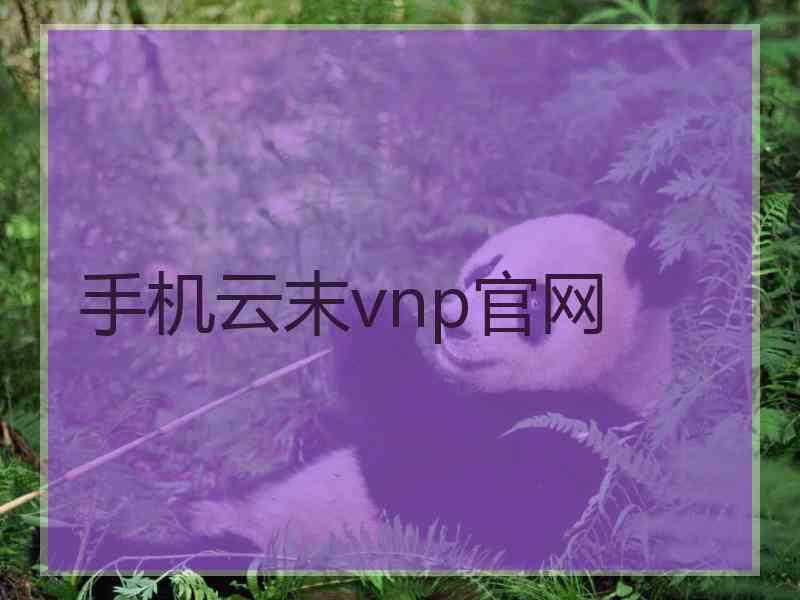 手机云末vnp官网