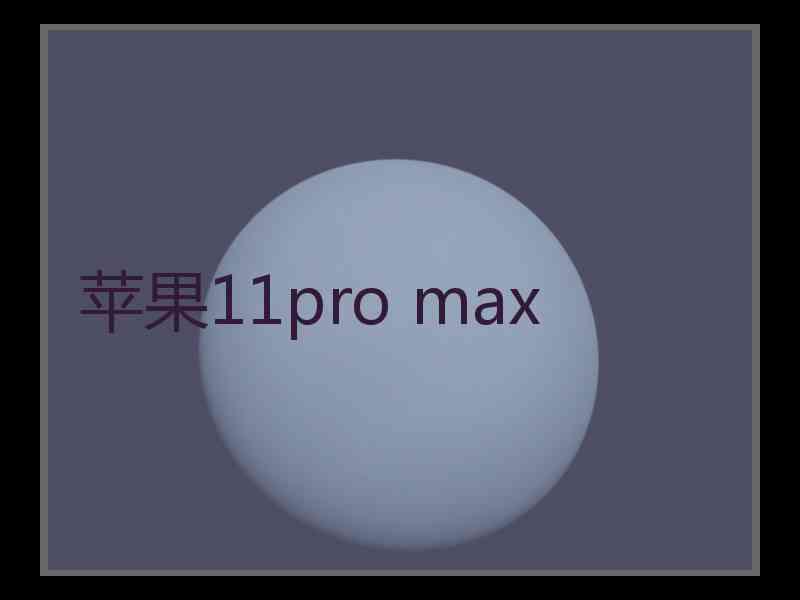 苹果11pro max