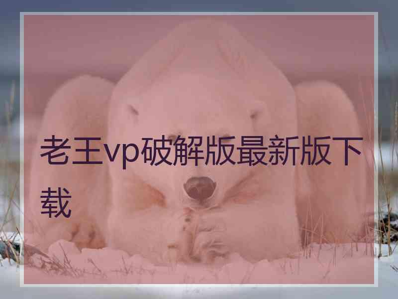 老王vp破解版最新版下载