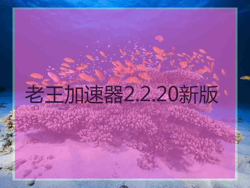 老王加速器2.2.20新版