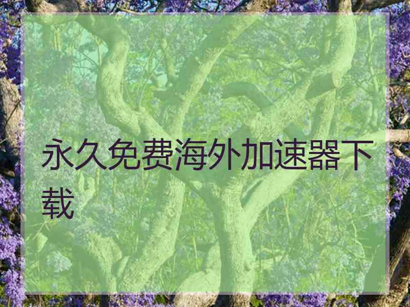 永久免费海外加速器下载