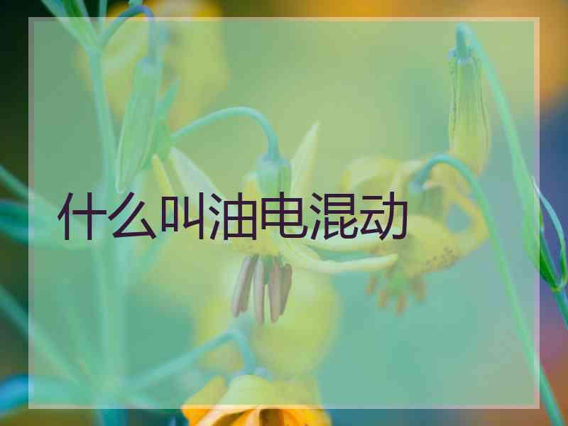 什么叫油电混动