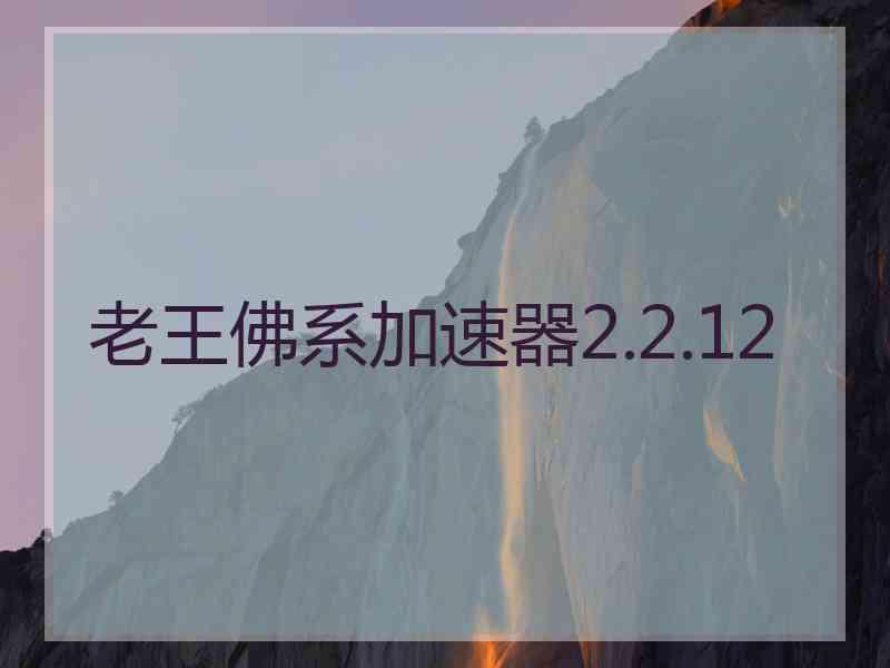 老王佛系加速器2.2.12