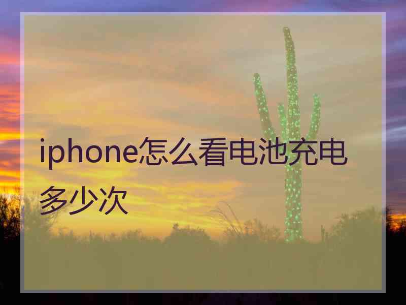 iphone怎么看电池充电多少次