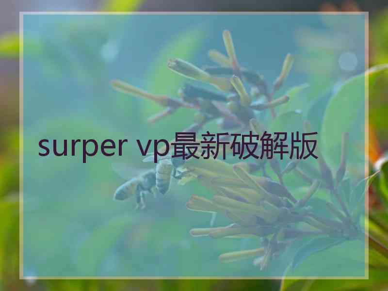 surper vp最新破解版