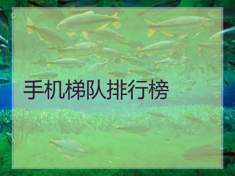 手机梯队排行榜