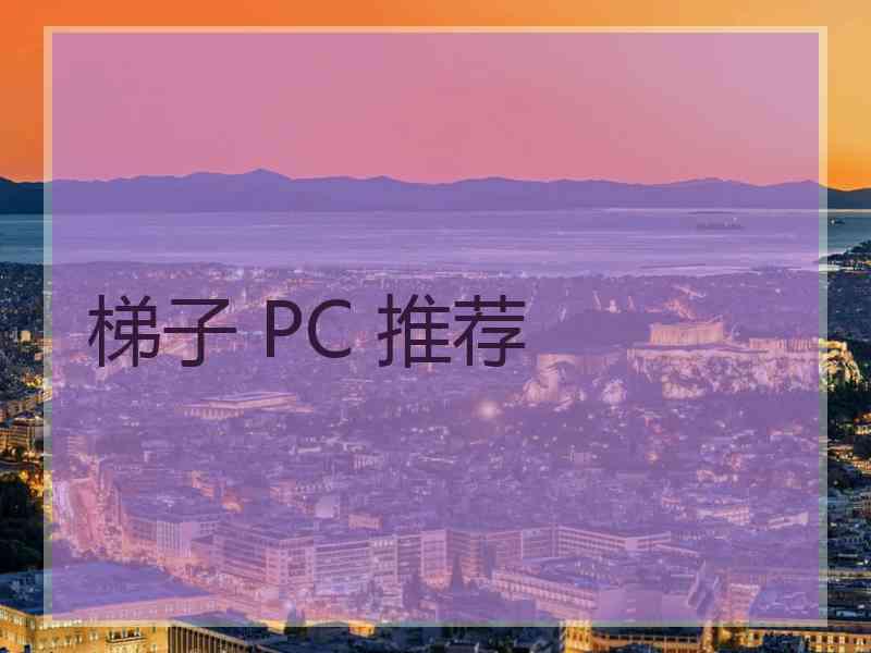 梯子 PC 推荐