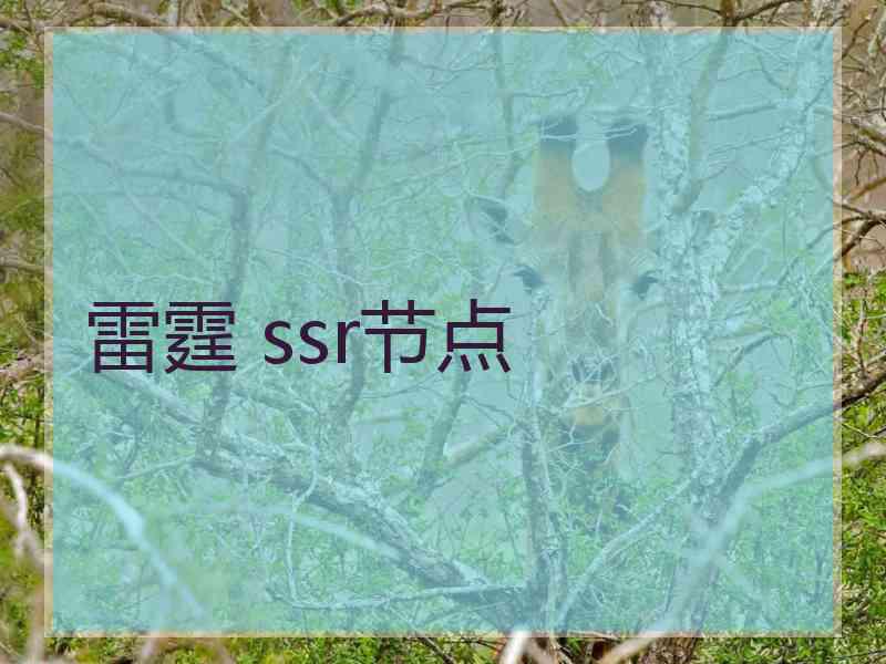 雷霆 ssr节点