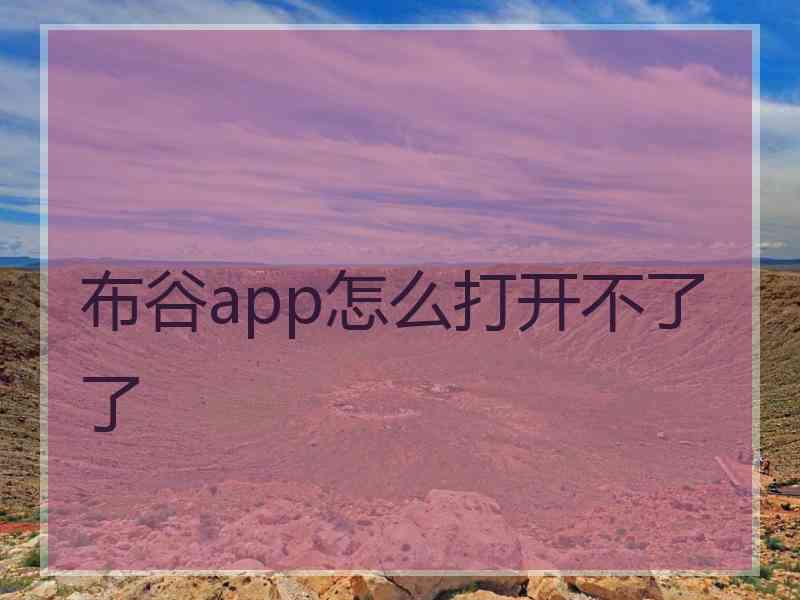 布谷app怎么打开不了了