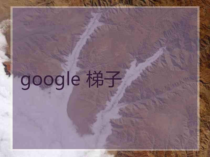 google 梯子