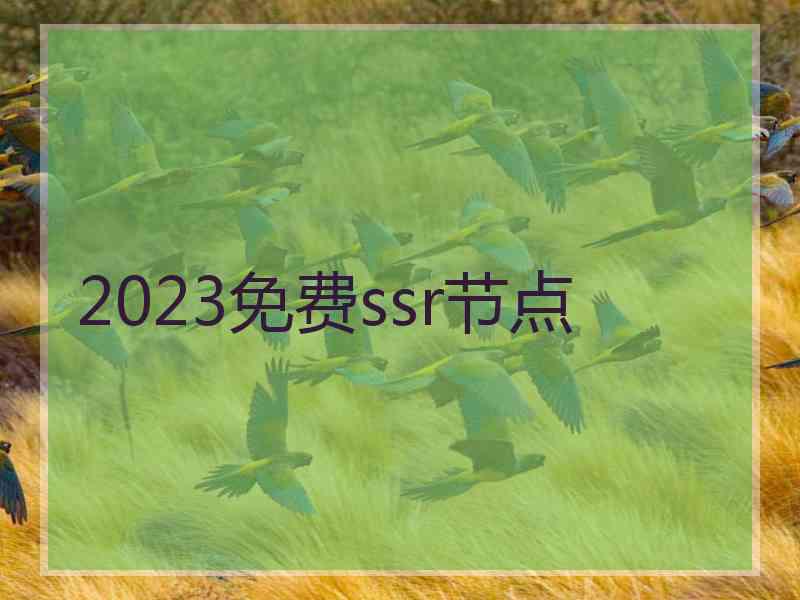 2023免费ssr节点