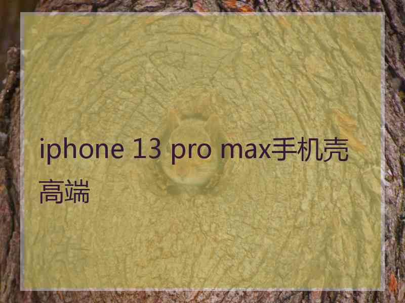 iphone 13 pro max手机壳高端