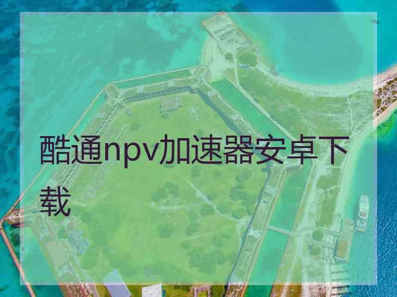 酷通npv加速器安卓下载