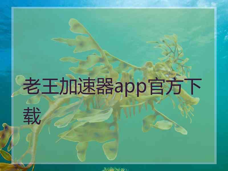 老王加速器app官方下载