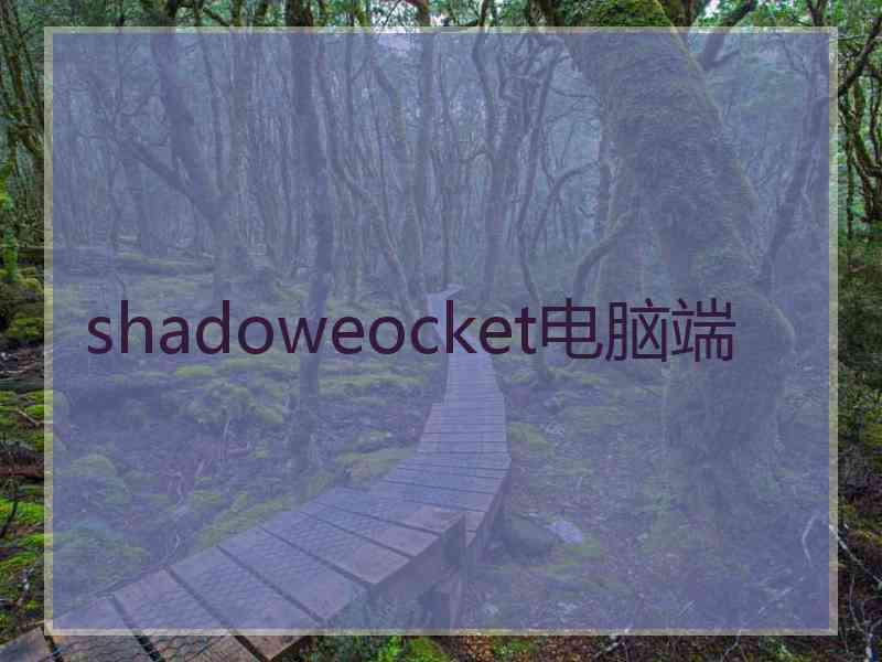 shadoweocket电脑端