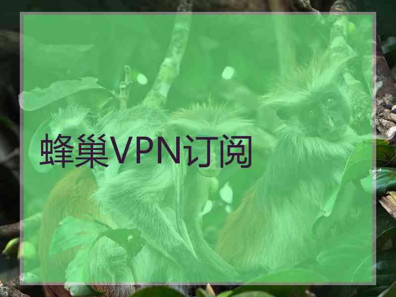 蜂巢VPN订阅