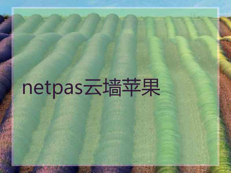 netpas云墙苹果