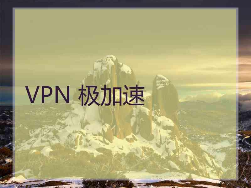 VPN 极加速