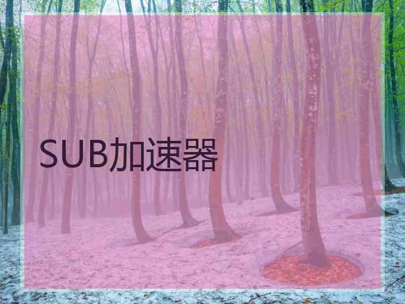 SUB加速器