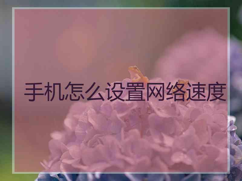 手机怎么设置网络速度