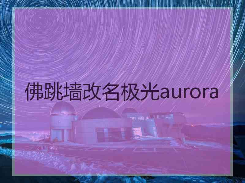 佛跳墙改名极光aurora