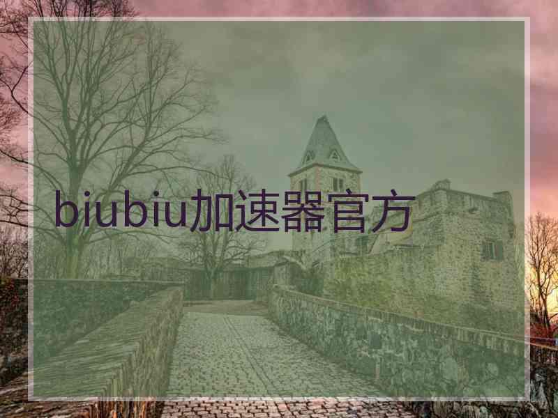 biubiu加速器官方