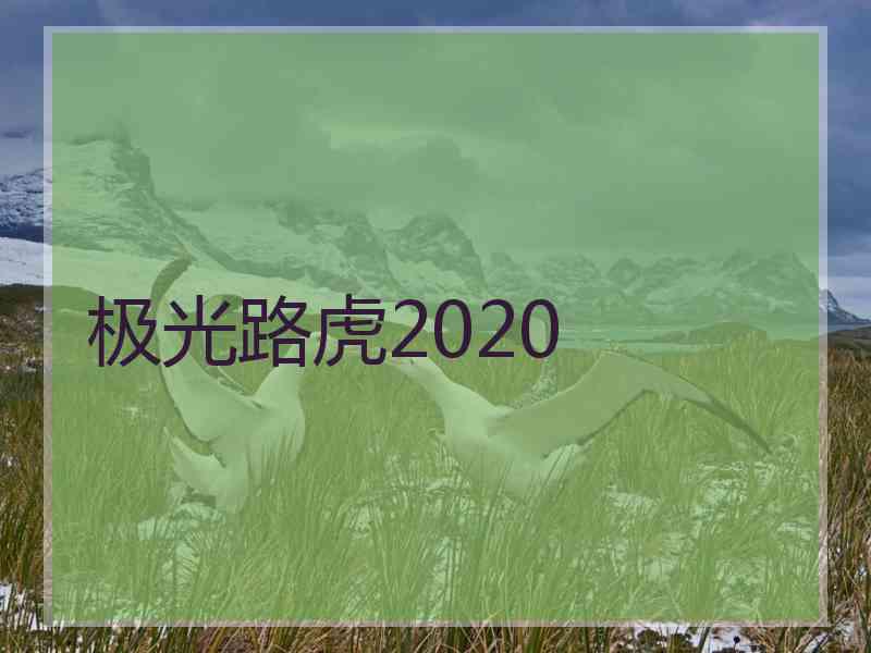 极光路虎2020