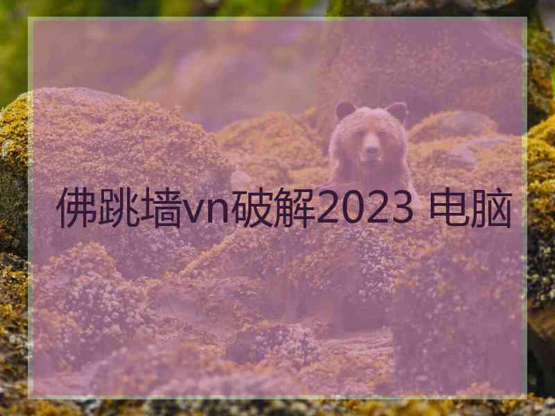 佛跳墙vn破解2023 电脑