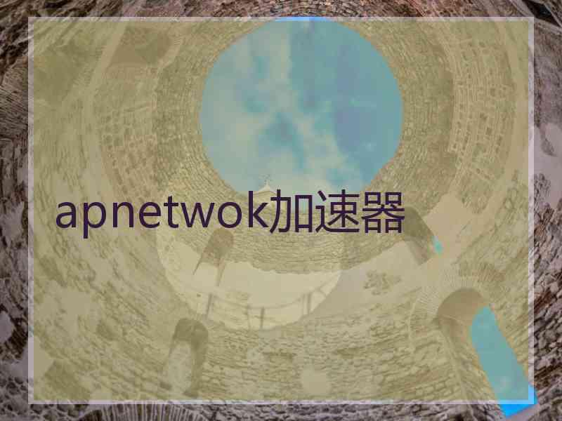 apnetwok加速器