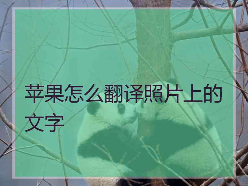 苹果怎么翻译照片上的文字