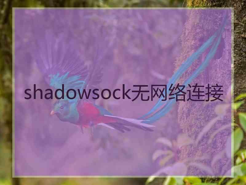 shadowsock无网络连接