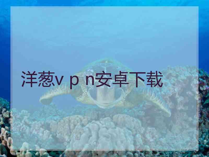 洋葱v p n安卓下载