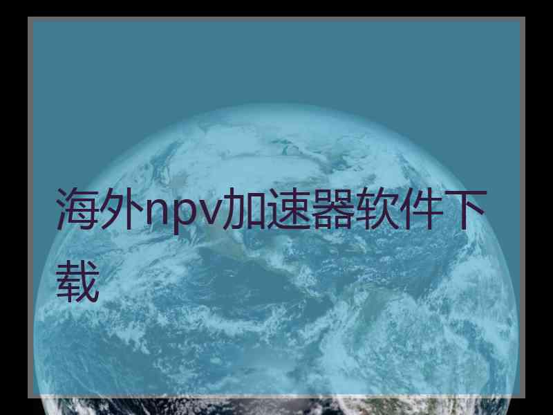 海外npv加速器软件下载