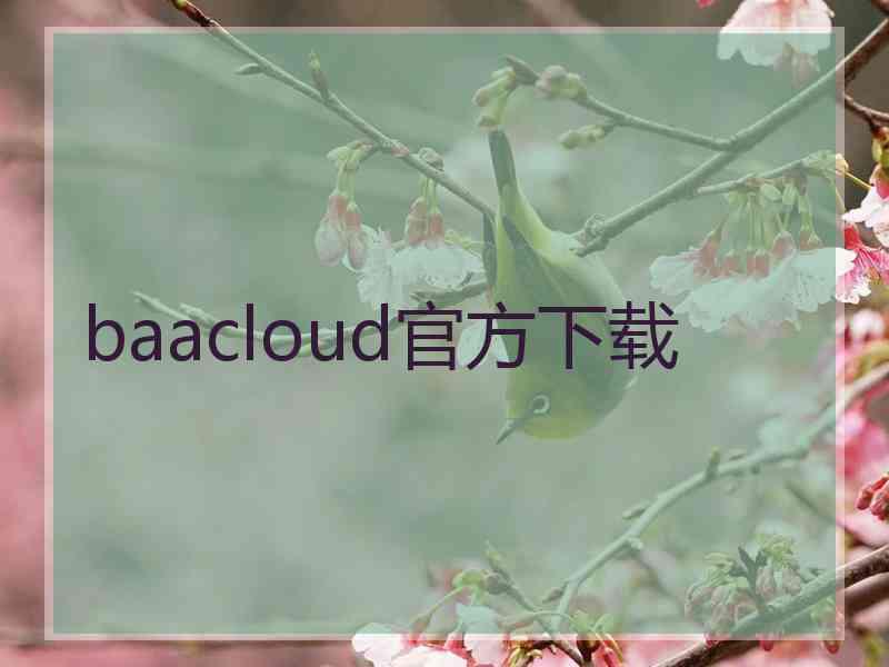 baacloud官方下载