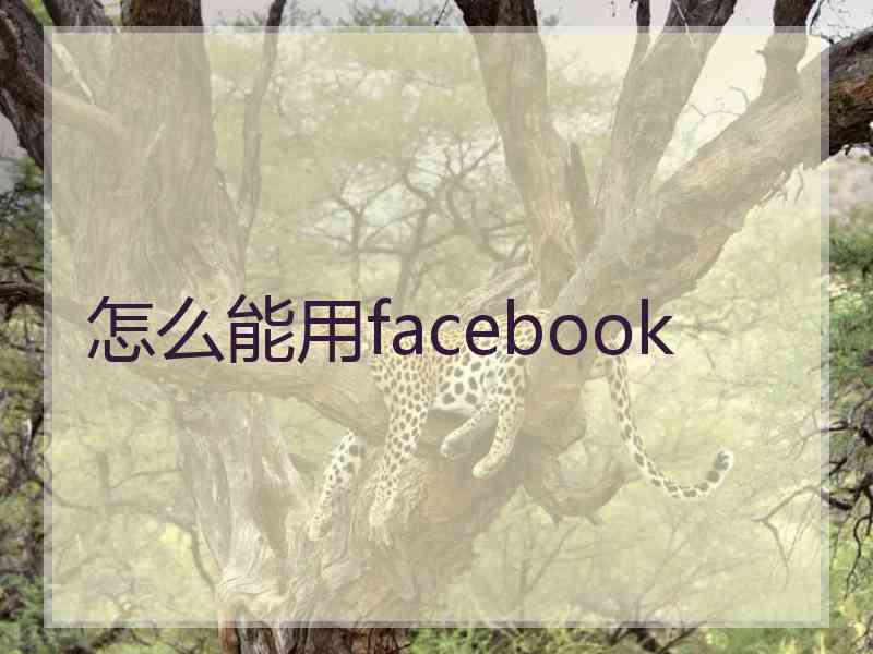 怎么能用facebook