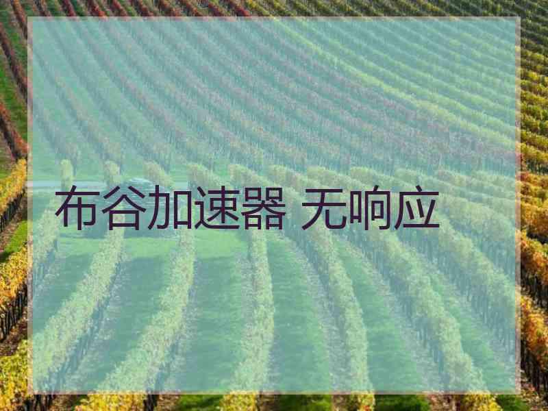 布谷加速器 无响应