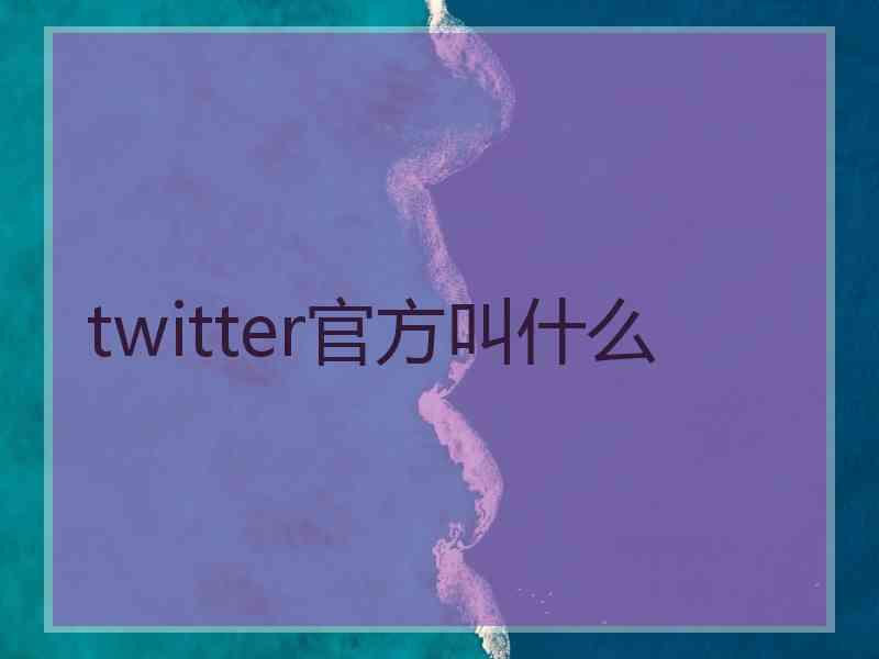 twitter官方叫什么