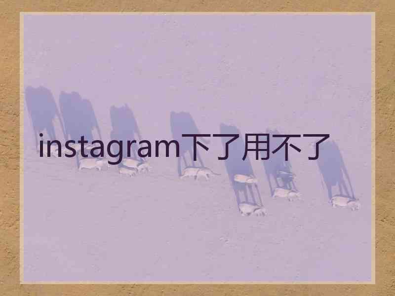 instagram下了用不了