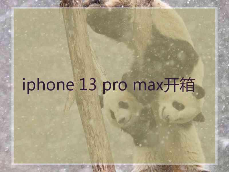 iphone 13 pro max开箱