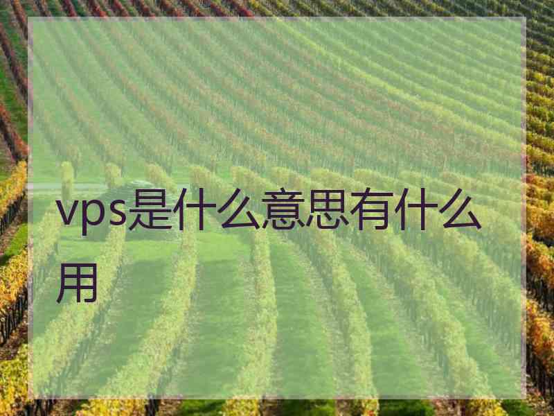 vps是什么意思有什么用