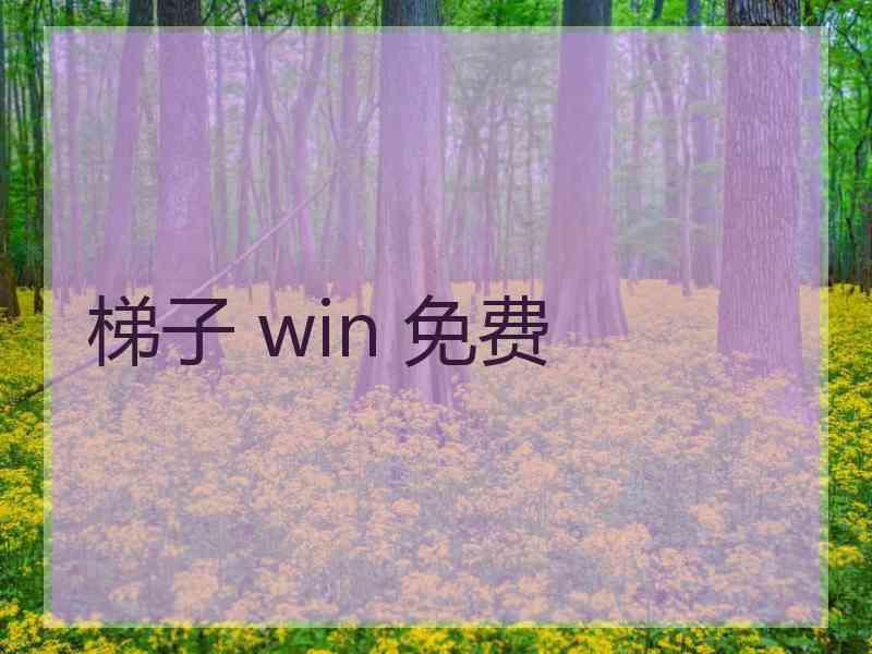 梯子 win 免费